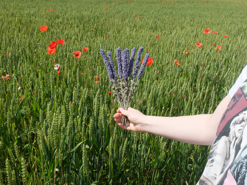 Lavender (per piece)