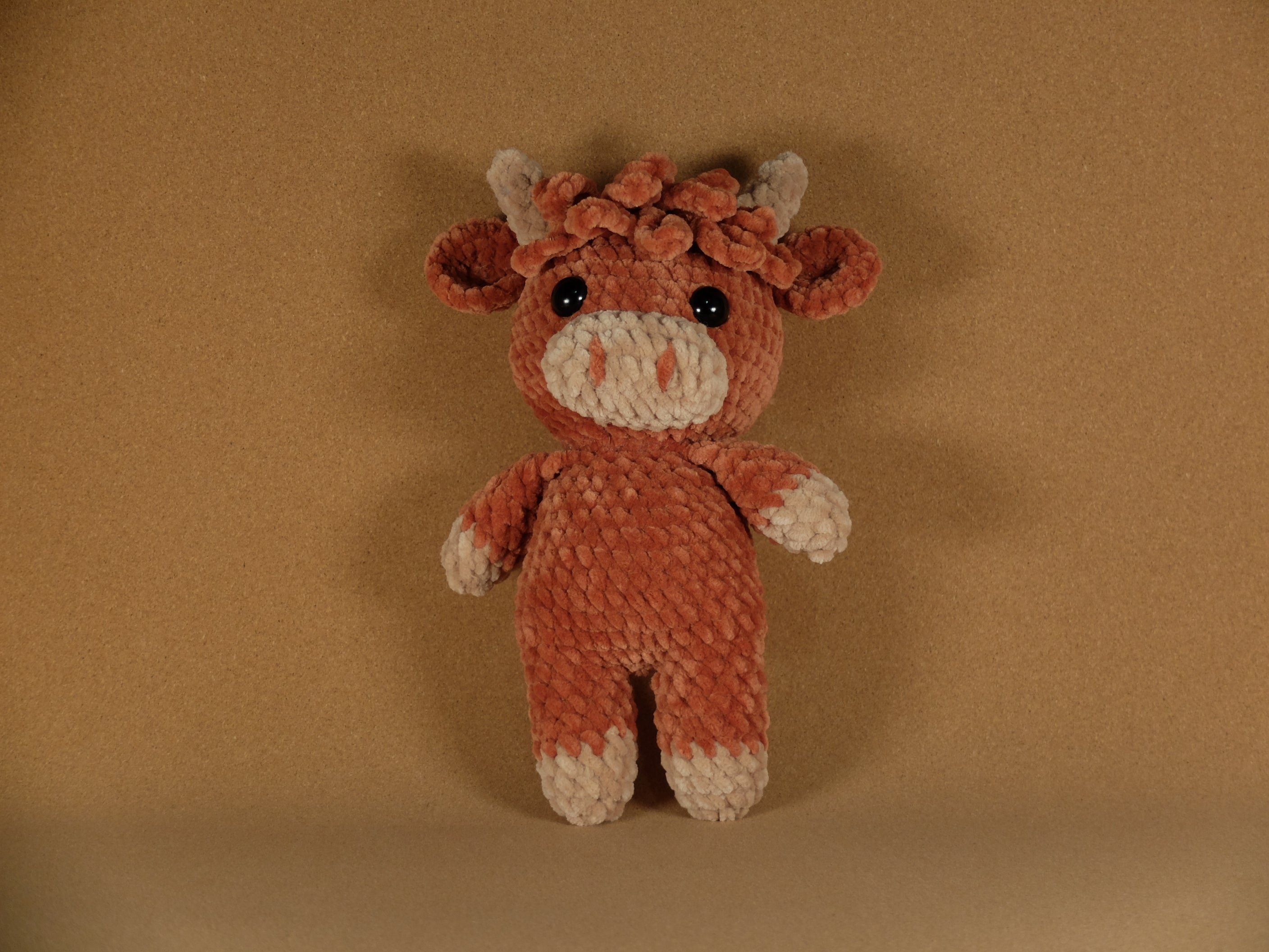 Harry the Highland Cow