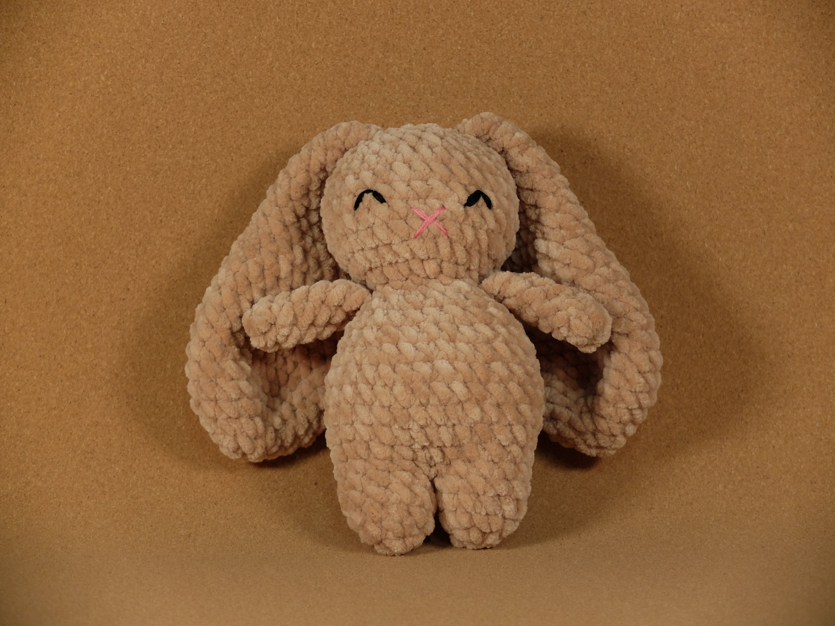 Bella the Big Eared Bunny