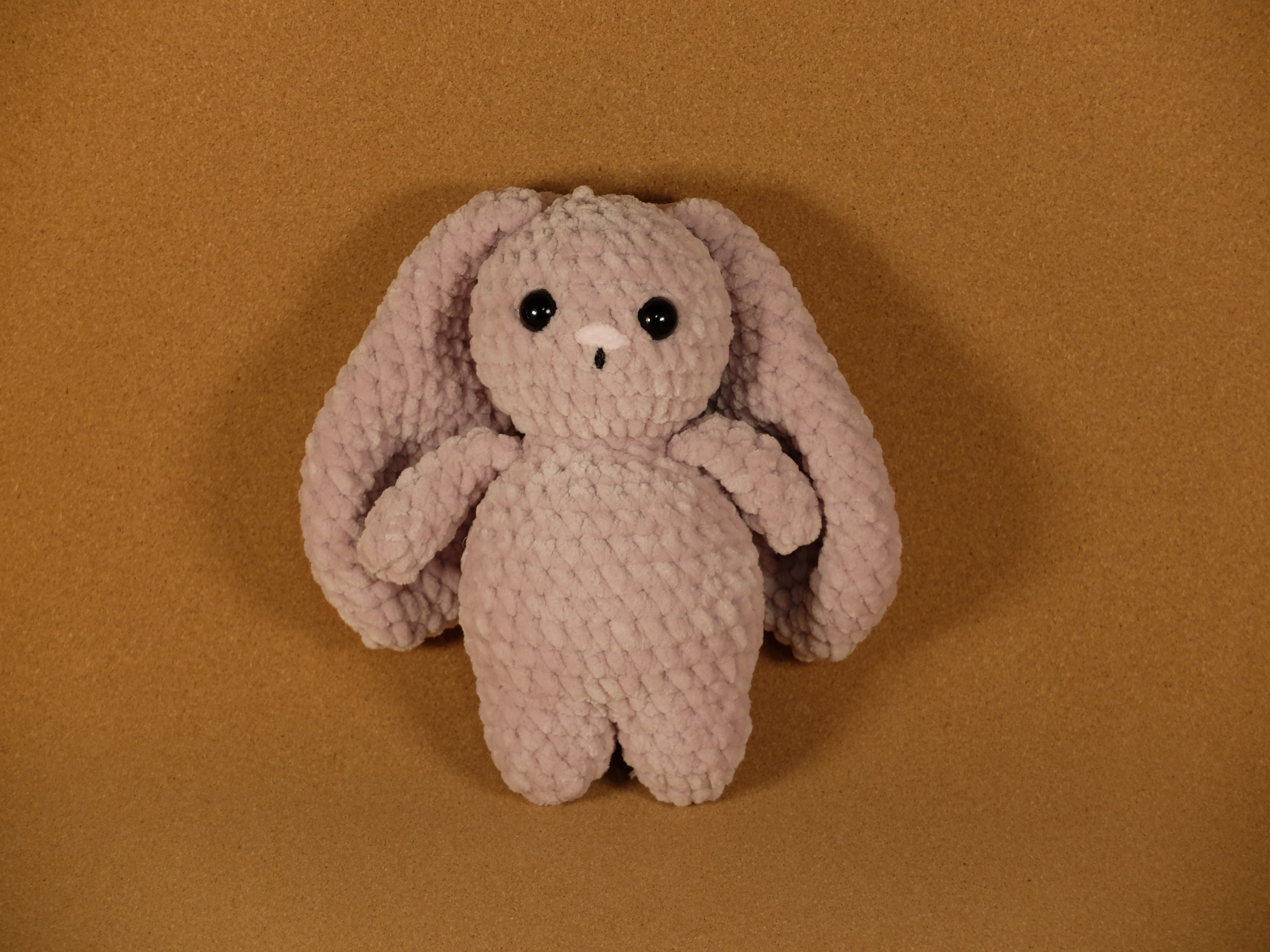Bella the Big Eared Bunny