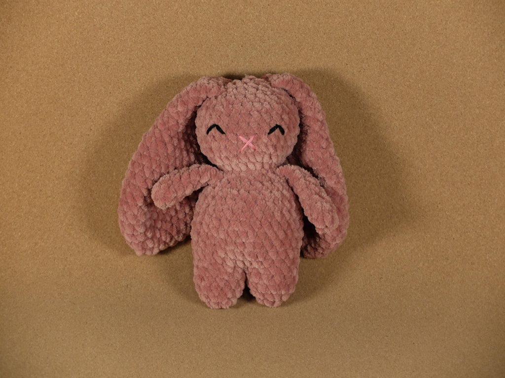 Bella the Big Eared Bunny