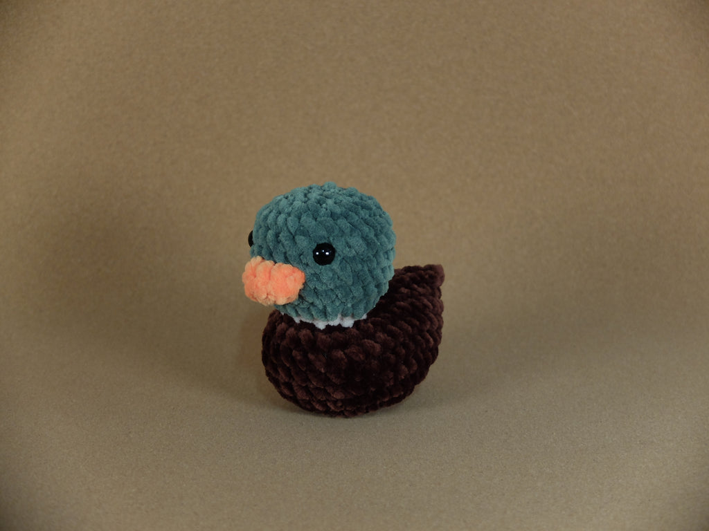 Duck