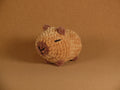 Clive the Capybara