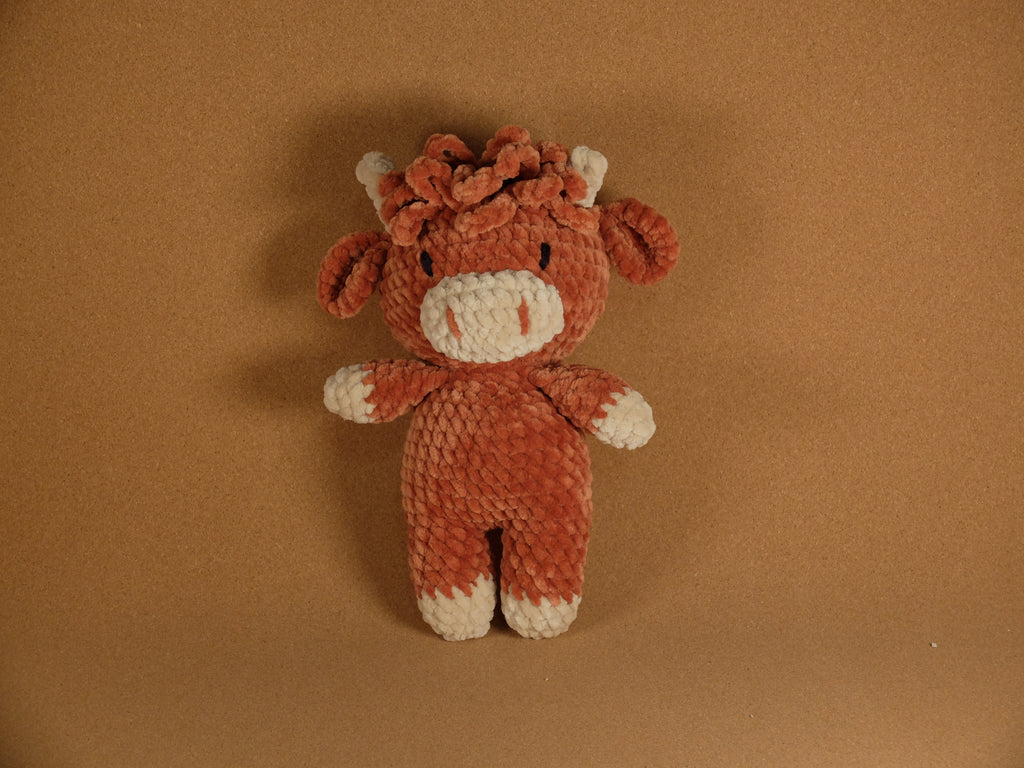 Harry the Highland Cow