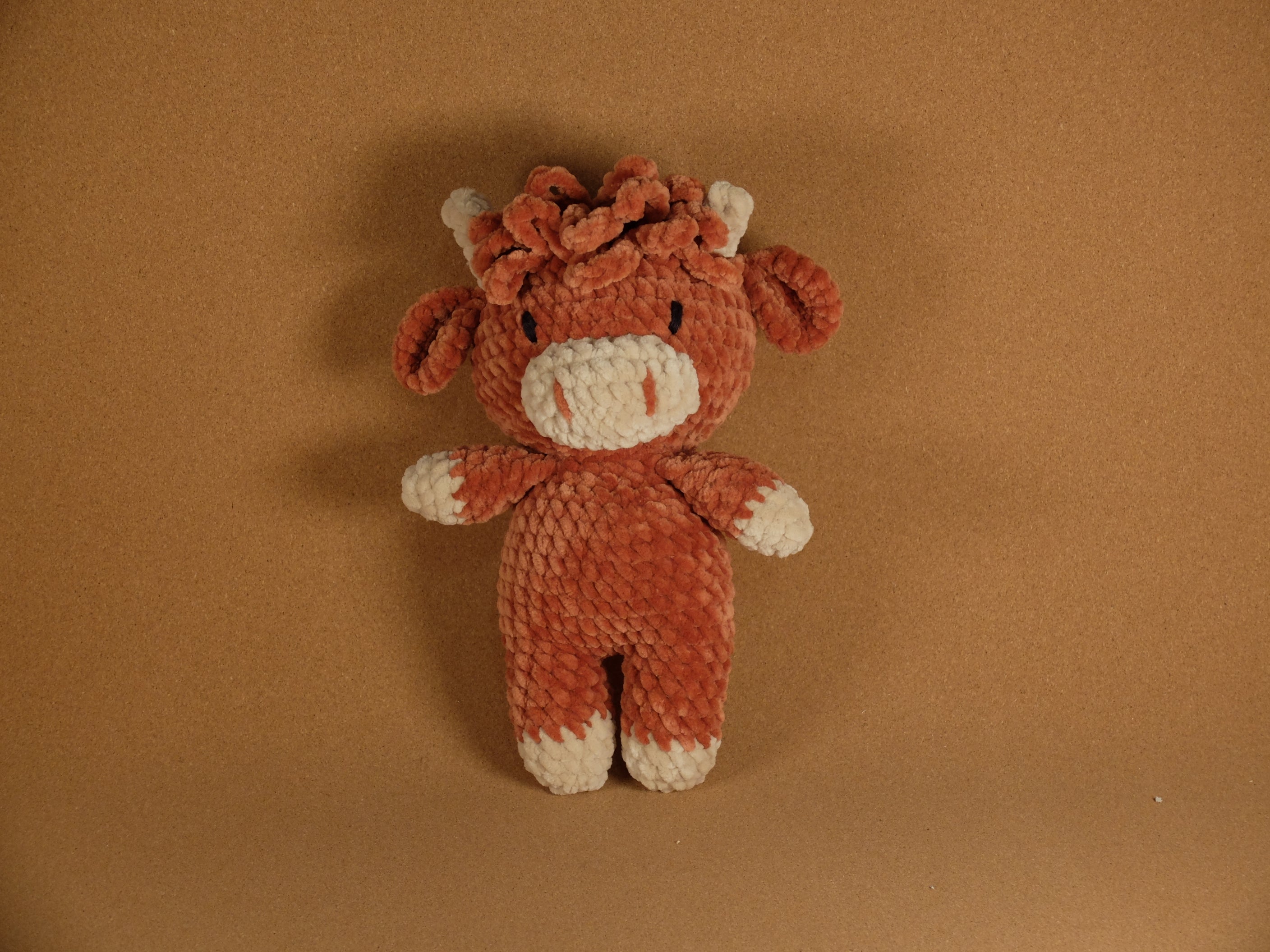 Harry the Highland Cow