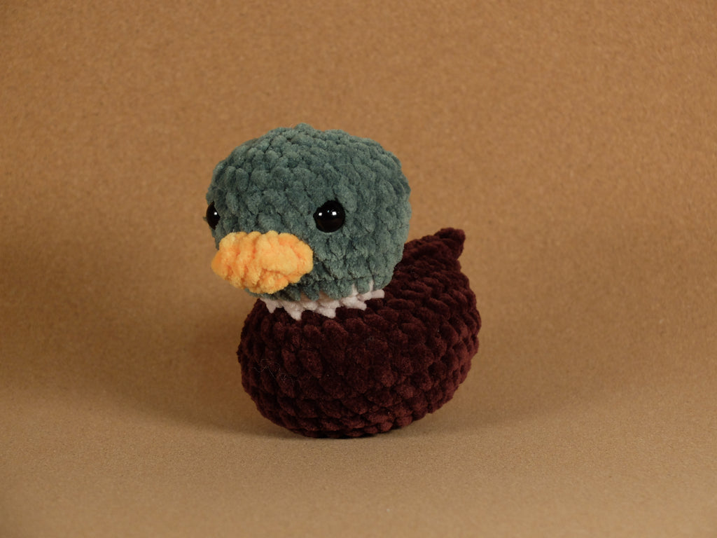 Duck
