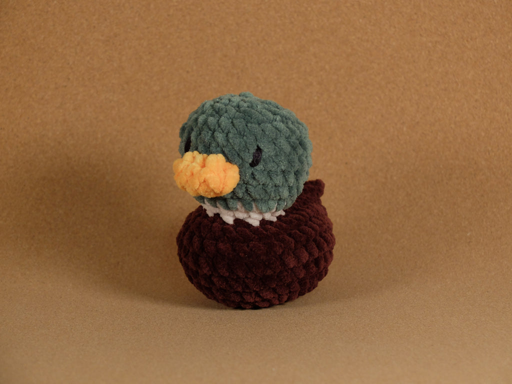 Duck